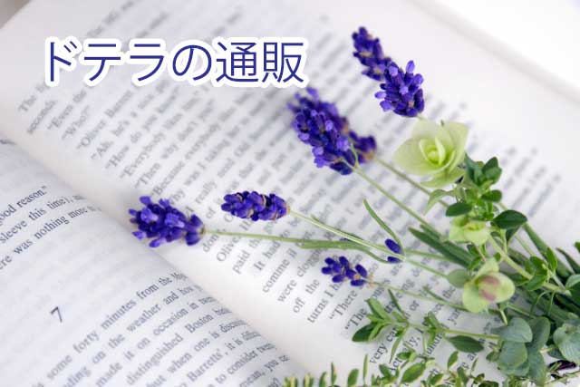 �h�e���̒ʔ̂ł̍w�����@